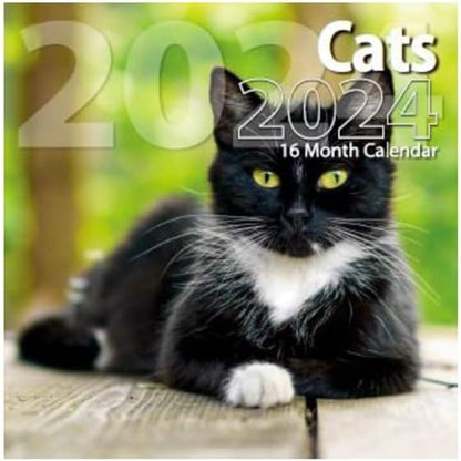 2024 Cats Full Size Wall Calendar for Planning, Scheduling, and Organizing