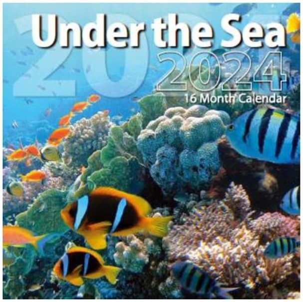 2024 Under the Sea Full Size Wall Calendar for Planning, Scheduling, and Organizing