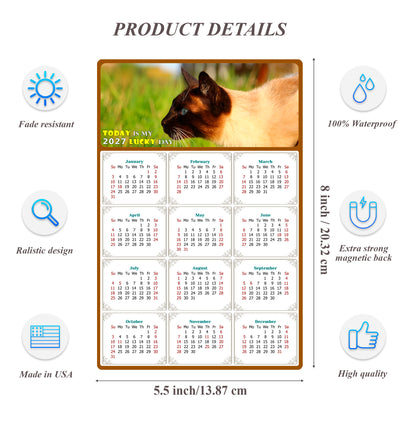 2027 Magnetic Calendar - Today is My Lucky Day (Fade, Tear, and Water Resistant)- Cat Themed 03