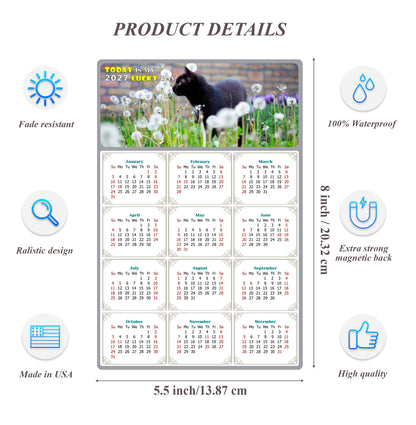 2027 Magnetic Calendar - Today is My Lucky Day (Fade, Tear, and Water Resistant)- Cat Themed 05
