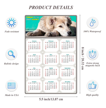 2027 Magnetic Calendar - Today is My Lucky Day (Fade, Tear, and Water Resistant)- Dogs Themed 015