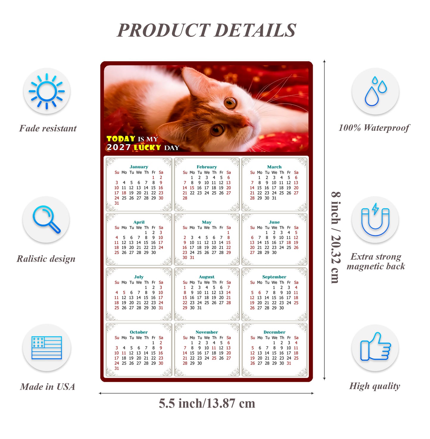 2027 Magnetic Calendar - Today is My Lucky Day (Fade, Tear, and Water Resistant)- Cat Themed 07