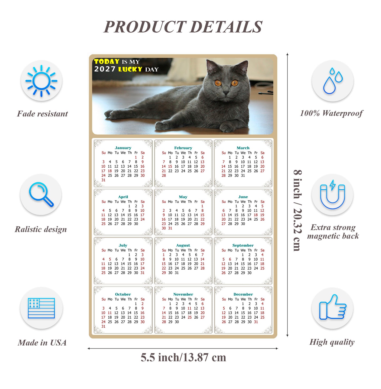 2027 Magnetic Calendar - Today is My Lucky Day (Fade, Tear, and Water Resistant)- Cat Themed 014