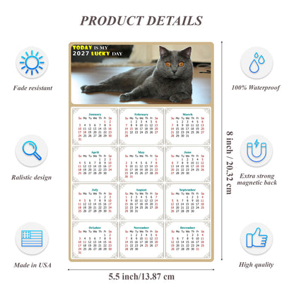 2027 Magnetic Calendar - Today is My Lucky Day (Fade, Tear, and Water Resistant)- Cat Themed 014