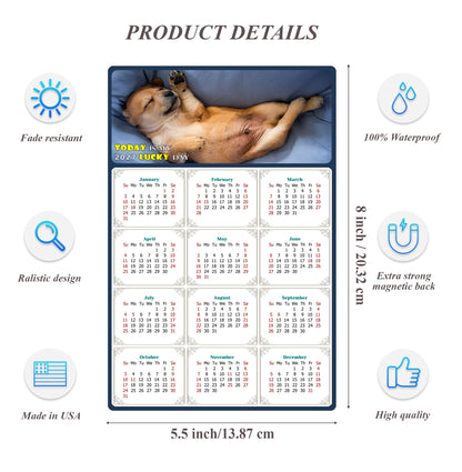 2027 Magnetic Calendar - Today is My Lucky Day (Fade, Tear, and Water Resistant)- Dogs Themed 013