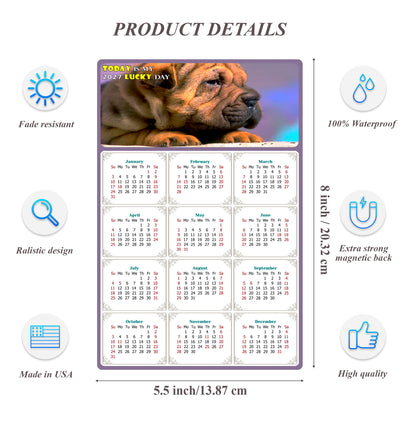 2027 Magnetic Calendar - Today is My Lucky Day (Fade, Tear, and Water Resistant)- Dogs Themed 012