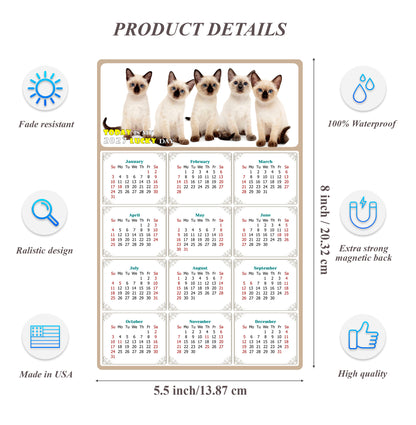2027 Magnetic Calendar - Today is My Lucky Day (Fade, Tear, and Water Resistant)- Cat Themed 020
