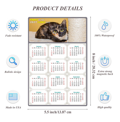2027 Magnetic Calendar - Today is My Lucky Day (Fade, Tear, and Water Resistant)- Cat Themed 024