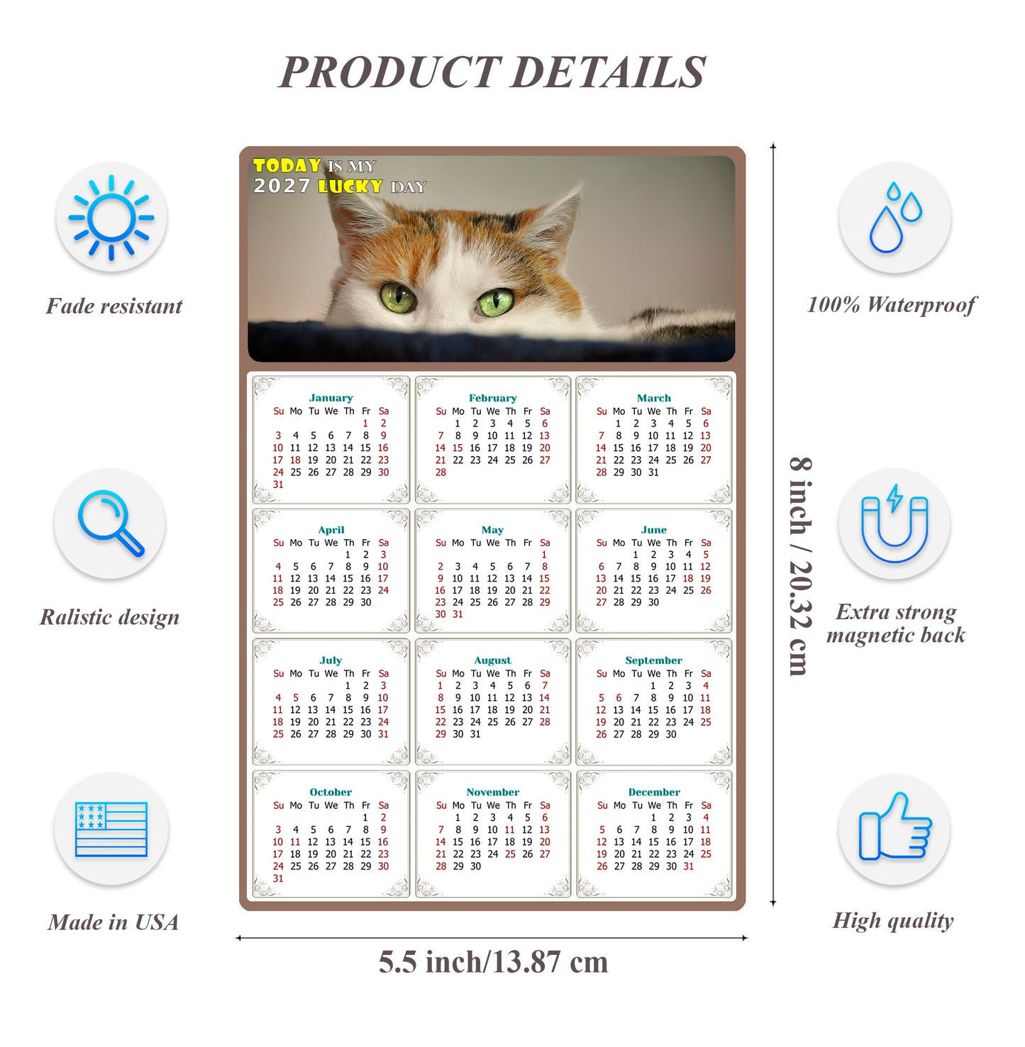 2027 Magnetic Calendar - Today is My Lucky Day (Fade, Tear, and Water Resistant)- Cat Themed 012