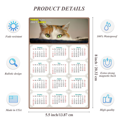 2027 Magnetic Calendar - Today is My Lucky Day (Fade, Tear, and Water Resistant)- Cat Themed 012