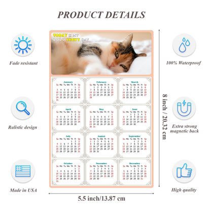 2027 Magnetic Calendar - Today is My Lucky Day (Fade, Tear, and Water Resistant)- Cat Themed 04