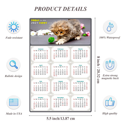 2027 Magnetic Calendar - Today is My Lucky Day (Fade, Tear, and Water Resistant)- Cat Themed 017