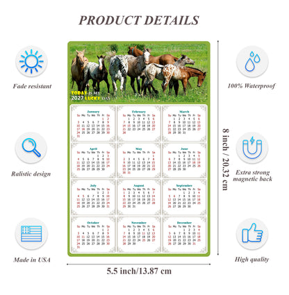 2027 Magnetic Calendar - Calendar Magnets - Today is my Lucky Day - (Fade, Tear, and Water Resistant) - Horses Themed 02