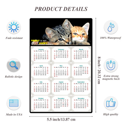 2027 Magnetic Calendar - Today is My Lucky Day (Fade, Tear, and Water Resistant)- Cat Themed 010