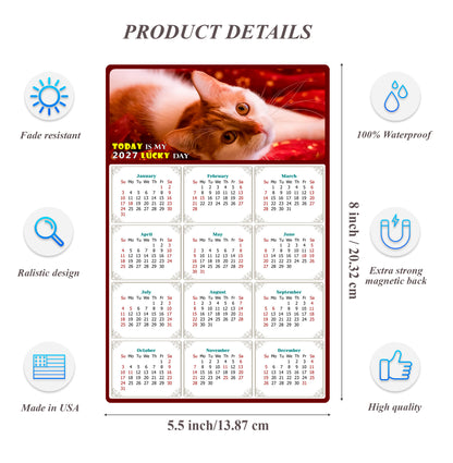 2027 Magnetic Calendar - Today is My Lucky Day (Fade, Tear, and Water Resistant)- Cat Themed 07