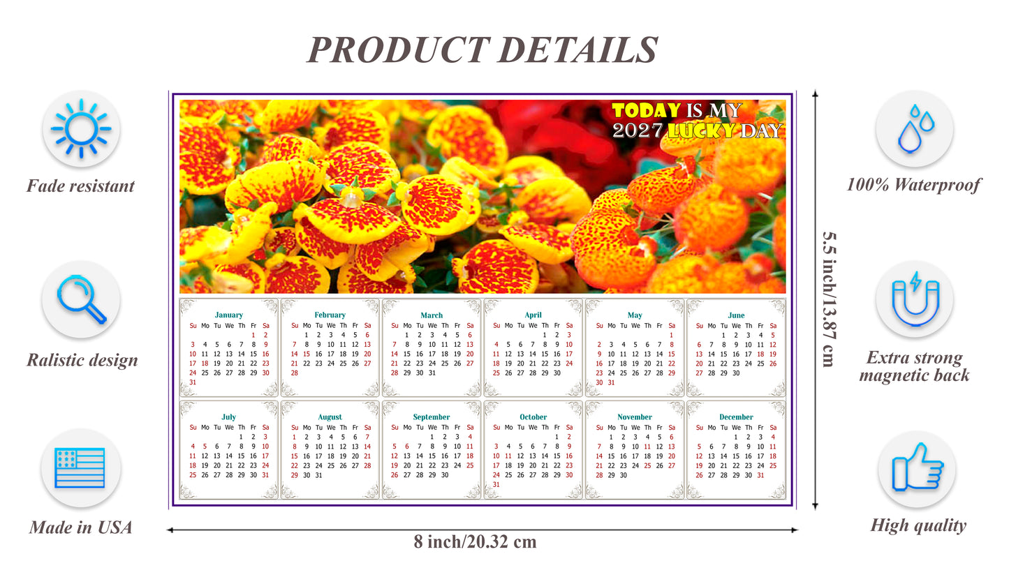 2027 Magnetic Calendar - Calendar Magnets - Today is My Lucky Day - Edition #13