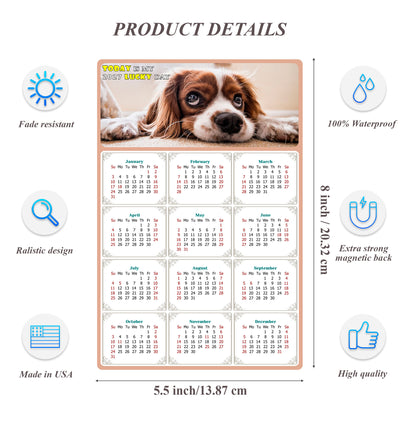 2027 Magnetic Calendar - Today is My Lucky Day (Fade, Tear, and Water Resistant)- Dogs Themed 01