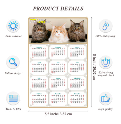 2027 Magnetic Calendar - Today is My Lucky Day (Fade, Tear, and Water Resistant)- Cat Themed 015