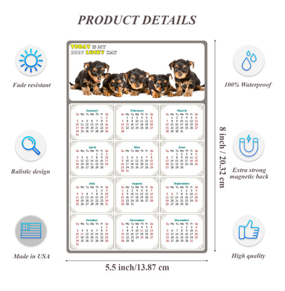 2027 Magnetic Calendar - Today is My Lucky Day (Fade, Tear, and Water Resistant)- Dogs Themed 016