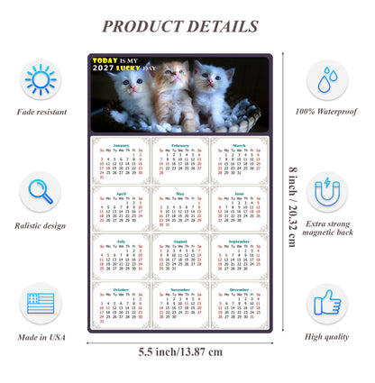 2027 Magnetic Calendar - Today is My Lucky Day (Fade, Tear, and Water Resistant)- Cat Themed 011