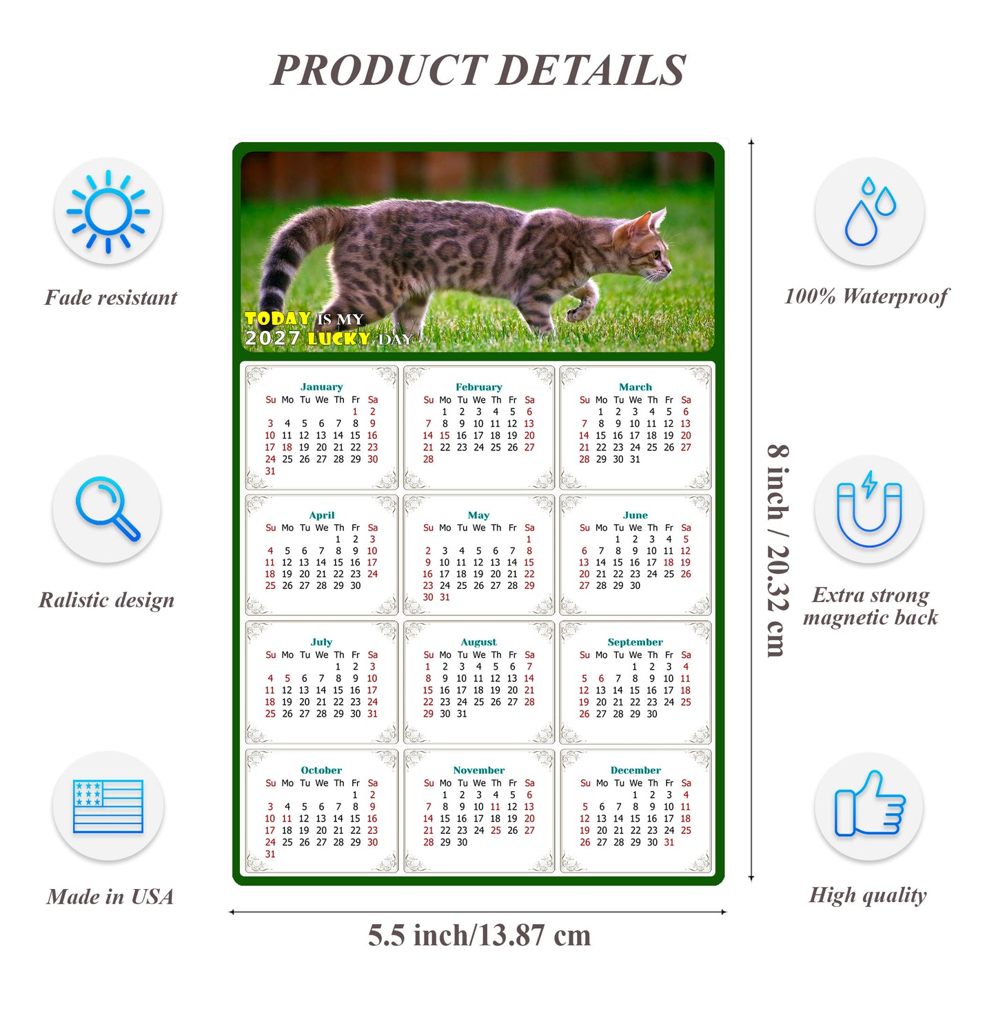 2027 Magnetic Calendar - Today is My Lucky Day (Fade, Tear, and Water Resistant)- Cat Themed 09