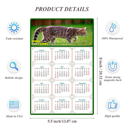 2027 Magnetic Calendar - Today is My Lucky Day (Fade, Tear, and Water Resistant)- Cat Themed 09