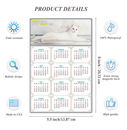 2027 Magnetic Calendar - Today is My Lucky Day (Fade, Tear, and Water Resistant)- Cat Themed 06