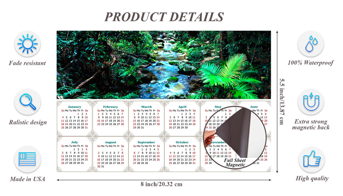 2026 Magnetic Calendar - Calendar Magnets - Today is My Lucky Day (Daintree National Park)