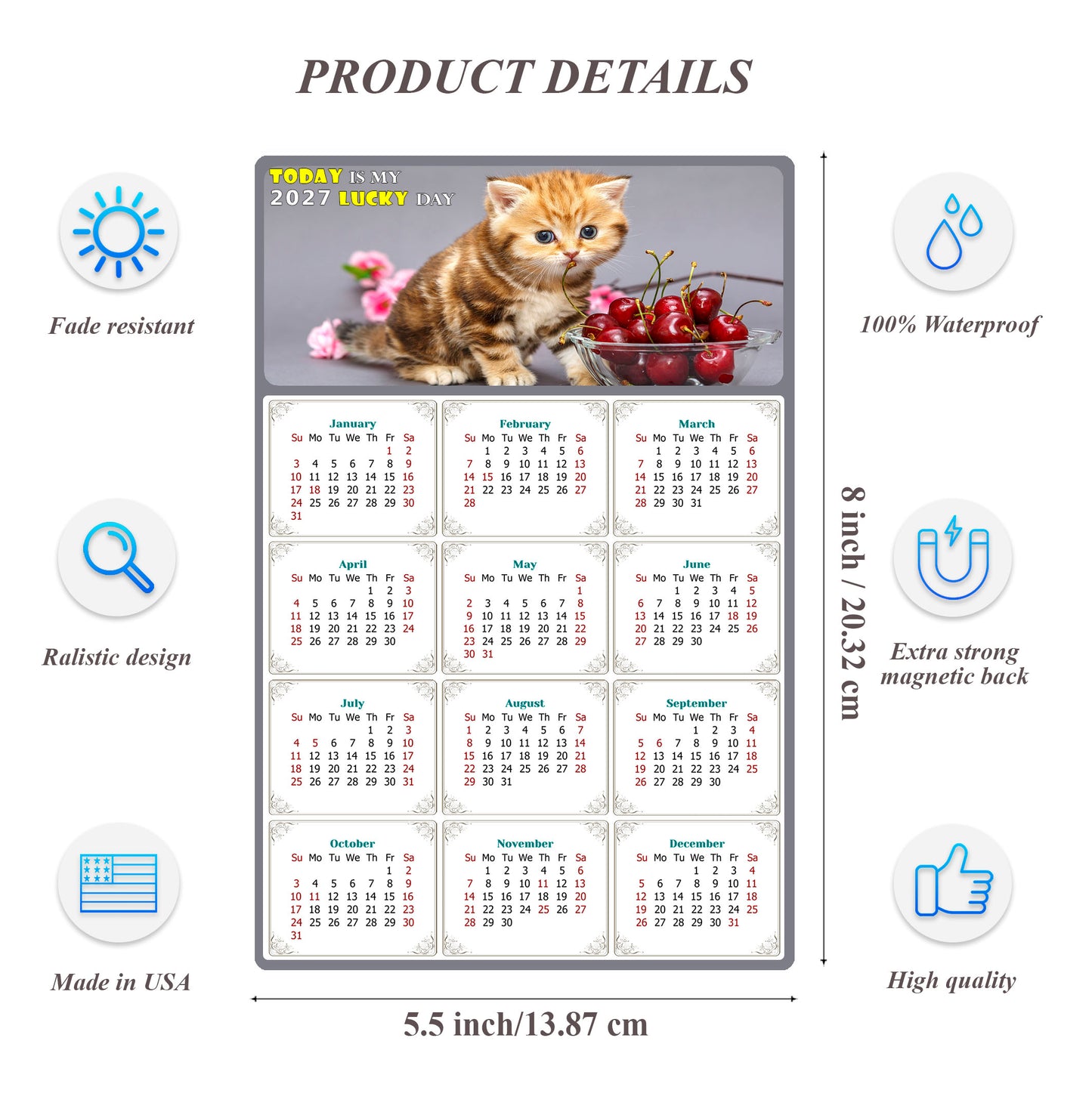 2027 Magnetic Calendar - Today is My Lucky Day (Fade, Tear, and Water Resistant)- Cat Themed 016