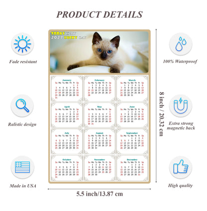 2027 Magnetic Calendar - Today is My Lucky Day (Fade, Tear, and Water Resistant)- Cat Themed 013