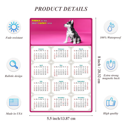 2027 Magnetic Calendar - Today is My Lucky Day (Fade, Tear, and Water Resistant)- Dogs Themed 023