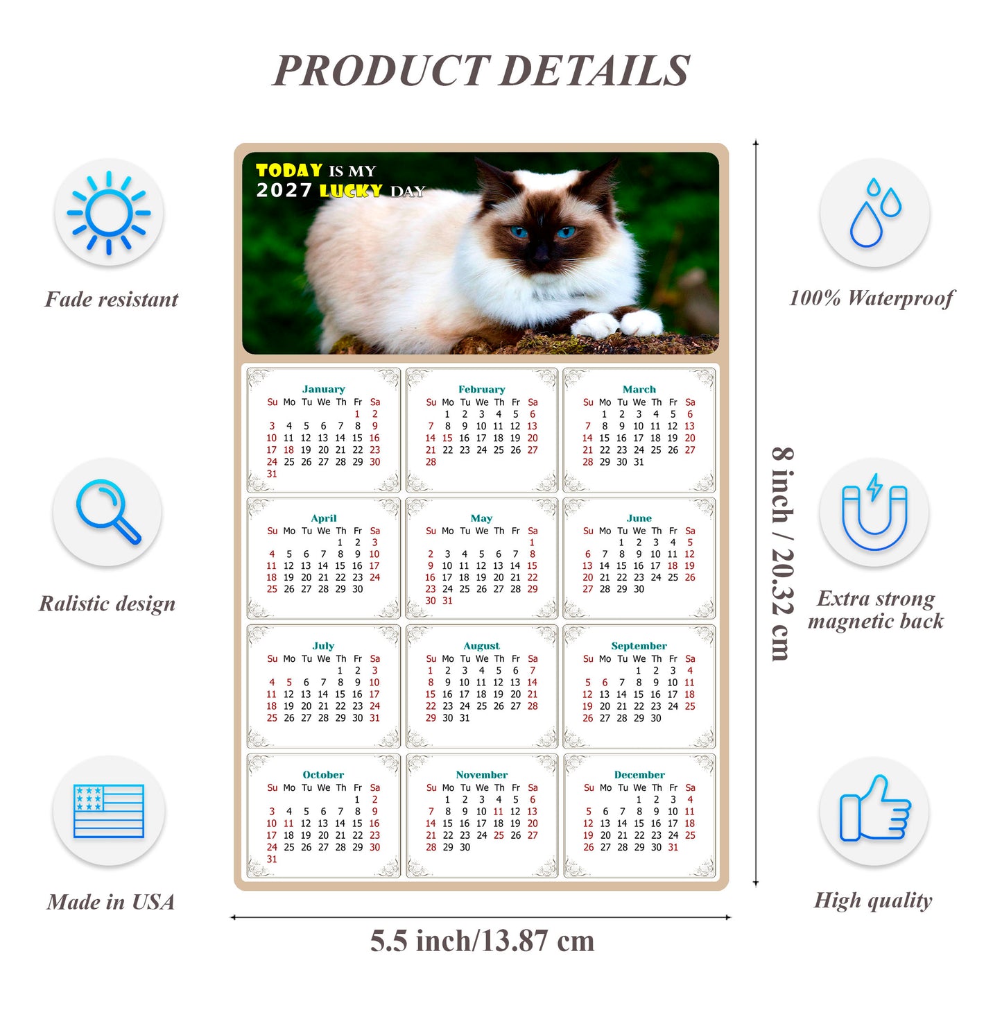 2027 Magnetic Calendar - Today is My Lucky Day (Fade, Tear, and Water Resistant)- Cat Themed 02