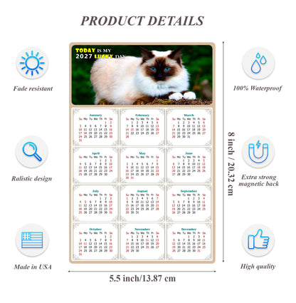 2027 Magnetic Calendar - Today is My Lucky Day (Fade, Tear, and Water Resistant)- Cat Themed 02