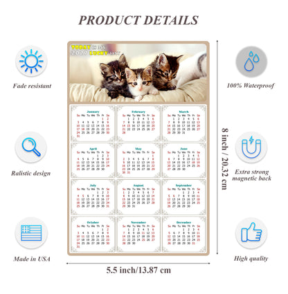 2027 Magnetic Calendar - Today is My Lucky Day (Fade, Tear, and Water Resistant)- Cat Themed 021
