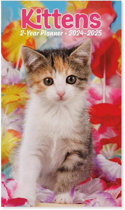 2024-2025 Value Pocket Calendar for Planning, Scheduling, and Organizing (Kittens)
