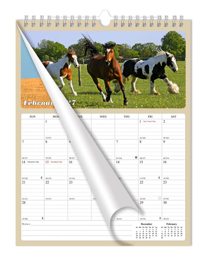 2027 Wall Calendar Spiral-bound Twin-Wire Binding - 12 Months Planner - Large Ruled Blocks with Julian Dates - (Horses)