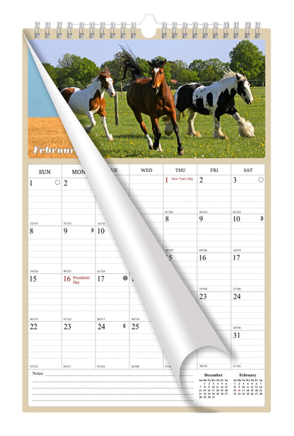 2025 - 2026 Wall Calendar Spiral-bound Twin-Wire Binding - 18 Months Planner - Large Ruled Blocks with Julian Dates - (Horses)