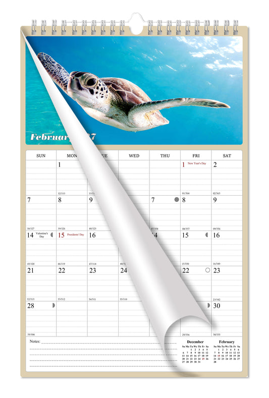 2027 Wall Calendar Spiral-bound Twin-Wire Binding - 12 Months Planner - Large Ruled Blocks with Julian Dates - (Turtles)