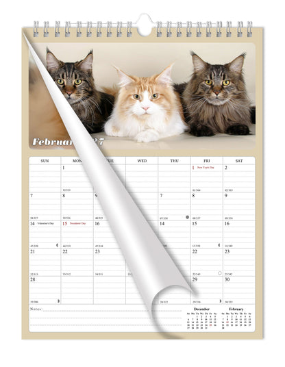 2027 Wall Calendar Spiral-bound Twin-Wire Binding - 12 Months Planner - Large Ruled Blocks with Julian Dates - (Cats)