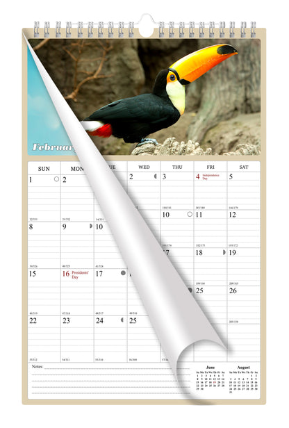 2025 - 2026 Wall Calendar Spiral-bound Twin-Wire Binding - 18 Months Planner - Large Ruled Blocks with Julian Dates - (Birds)