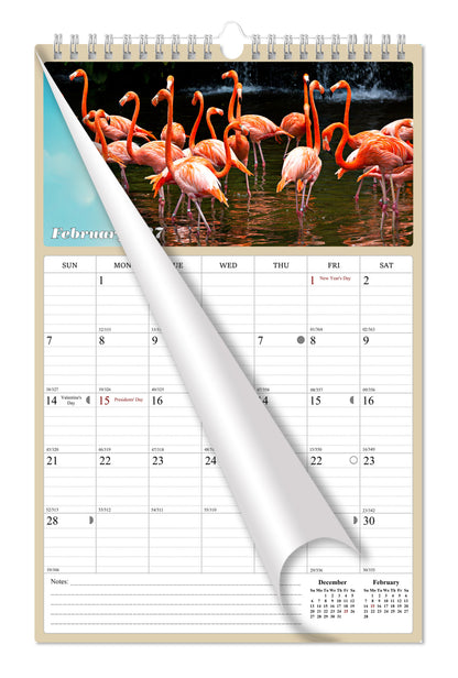 2027 Wall Calendar Spiral-bound Twin-Wire Binding - 12 Months Planner - Large Ruled Blocks with Julian Dates - (Birds)
