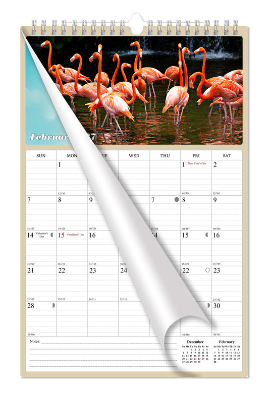 2027 Wall Calendar Spiral-bound Twin-Wire Binding - 12 Months Planner - Large Ruled Blocks with Julian Dates - (Birds)