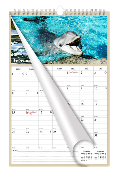 2025 - 2026 Wall Calendar Spiral-bound Twin-Wire Binding - 18 Months Planner - Large Ruled Blocks with Julian Dates - (Dolphins)