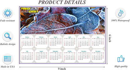 2027 Peel & Stick Calendar - Today is my Lucky Day - Removable, Repositionable - 036 (9"x 6")