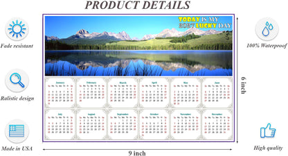 2027 Peel & Stick Calendar - Today is my Lucky Day - Removable, Repositionable - 015 (9"x 6")