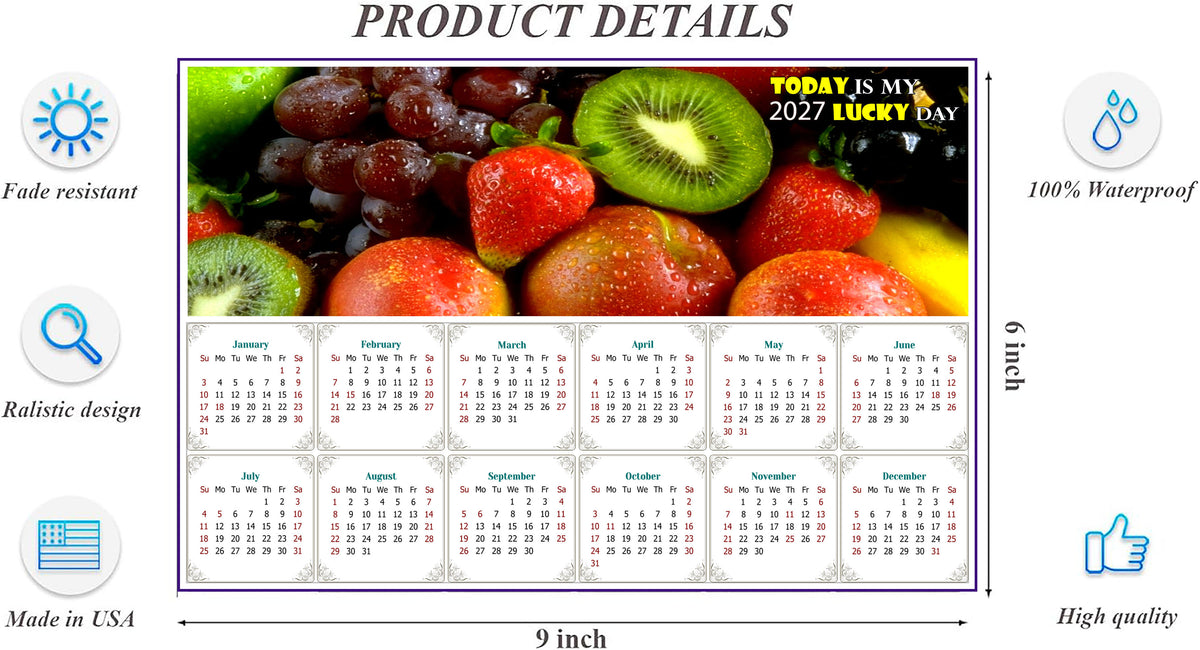 2027 Peel & Stick Calendar - Today is my Lucky Day - Removable, Repositionable - 040 (9"x 6")