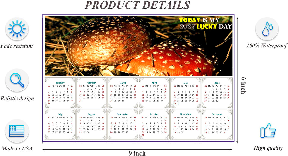 2027 Peel & Stick Calendar - Today is my Lucky Day - Removable, Repositionable - 038 (9"x 6")