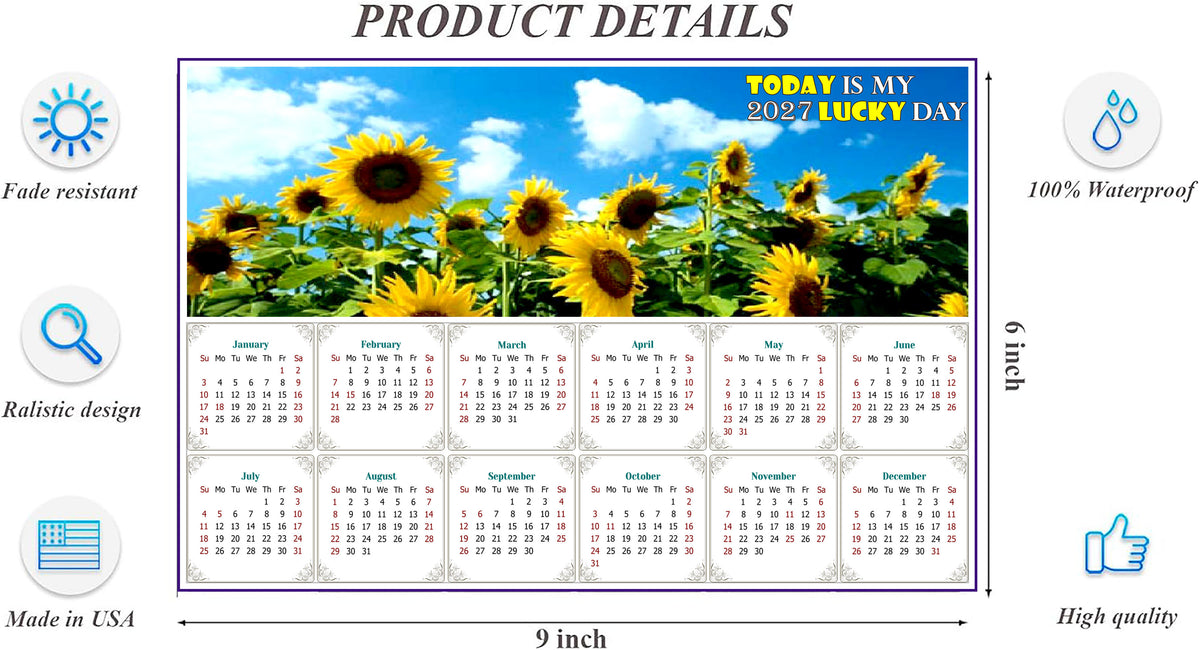 2027 Peel & Stick Calendar - Today is my Lucky Day - Removable, Repositionable - 034 (9"x 6")
