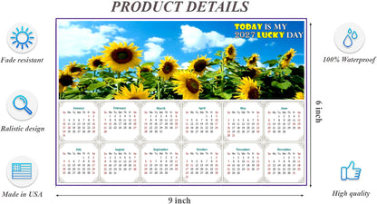 2027 Peel & Stick Calendar - Today is my Lucky Day - Removable, Repositionable - 034 (9"x 6")
