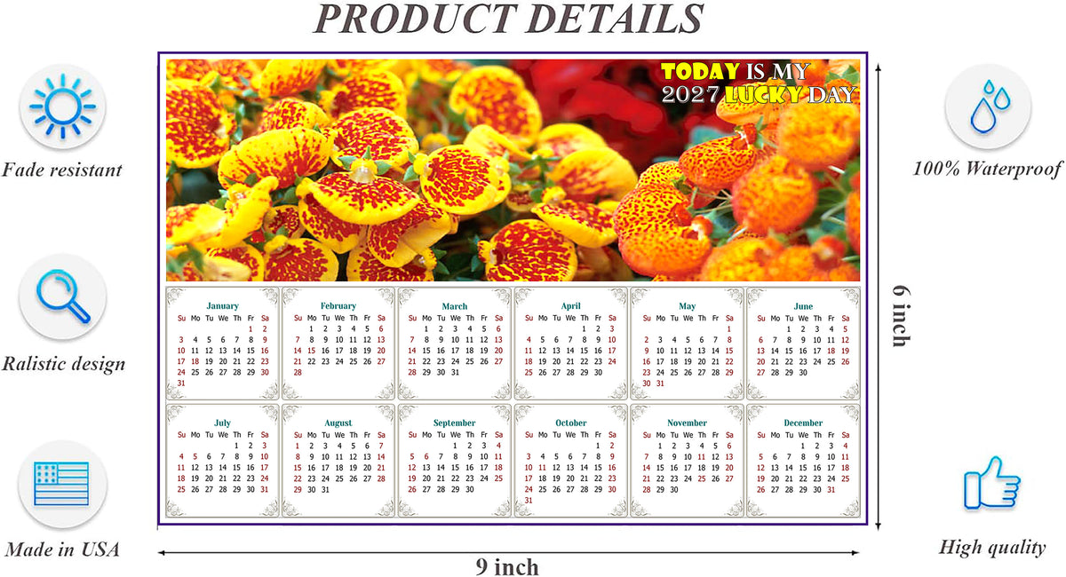 2027 Peel & Stick Calendar - Today is my Lucky Day - Removable, Repositionable - 013 (9"x 6")